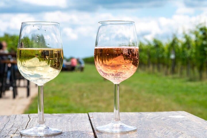 Luxury Long Island Private Winery Tour from NYC — North Fork & Hamptons photo 6
