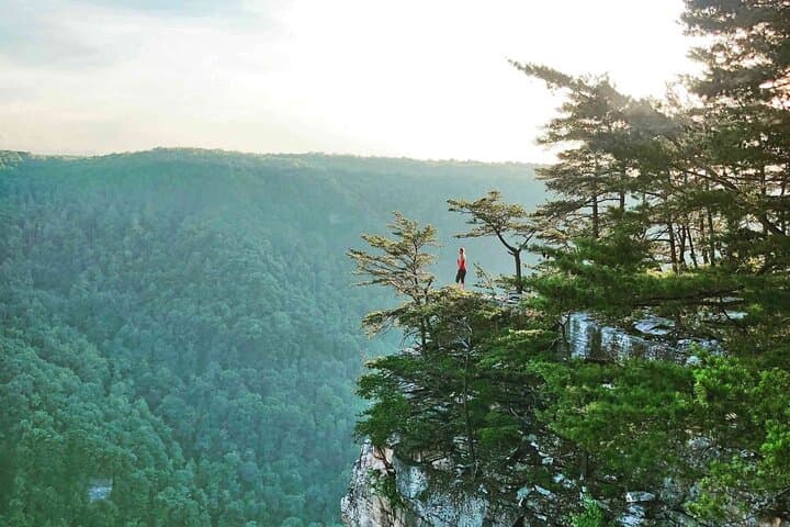 Half-Day Hike in New River Gorge: Guided Trails, Views & History photo 3