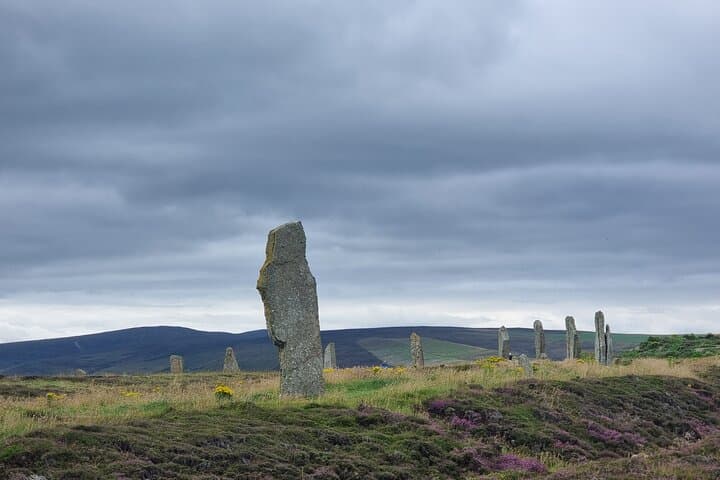 Private Orkney Mainland Tour: Skara Brae, Standing Stones & Coastal Wildlife photo 2