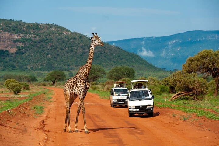 5-Day Mid-Range Kenya Safari: Tsavo East, Tsavo West & Amboseli photo 3