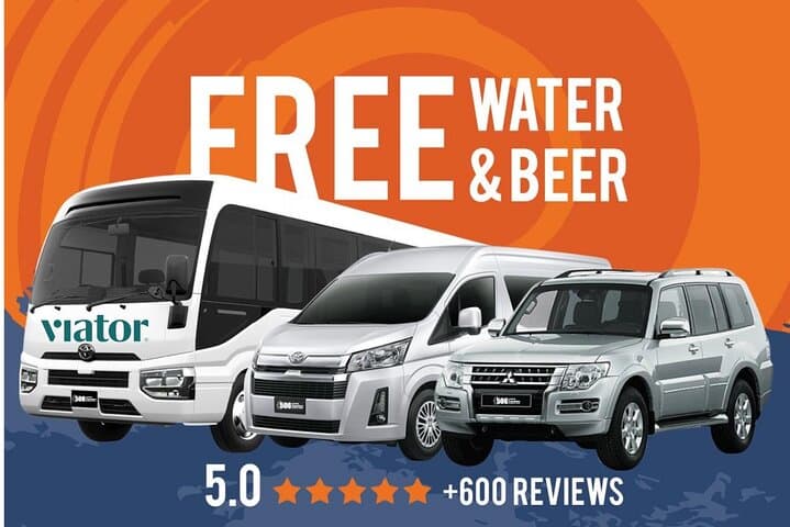 Private Airport Transfer: Liberia (LIR) to RIU Hotels & Planet Hollywood — Papagayo Door-to-Door Ride