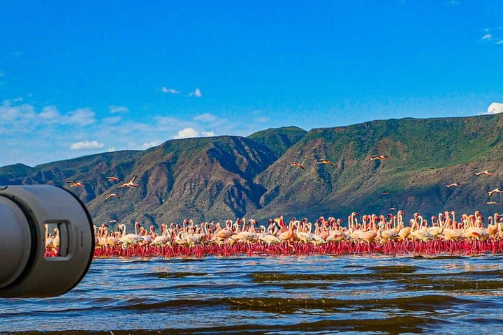Overnight Safari to Lake Bogoria: Flamingo Spectacle and Rift Valley Hot Springs