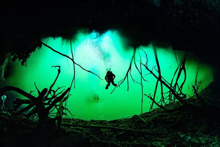 Private Cenote Scuba Diving Near Playa del Carmen — 2-Tank Guided Dive photo 3