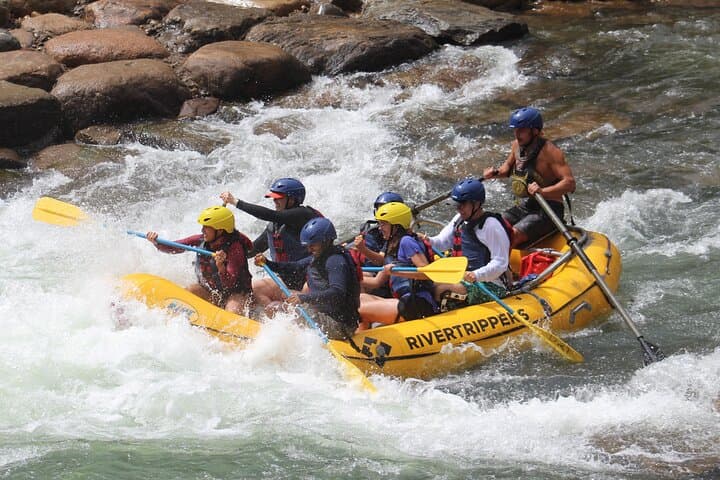 Half-Day Family Rafting on the Lower Animas River — Durango, CO