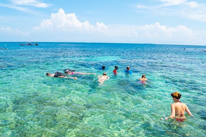 Full-Day Rosario Islands Tour: Snorkeling, Sunken Plane & Night Plankton
