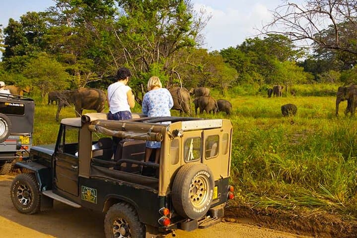 Sigiriya Rock Fortress and Hurulu Elephant Safari Day Tour from Colombo photo 6