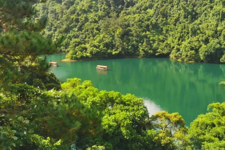 Dinghu Mountain Day Tour — Explore Guangdong’s First National Nature Reserve photo 3