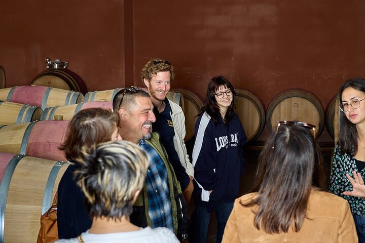 Half-Day Wine Tour Through Margaux’s Grand Crus photo 5