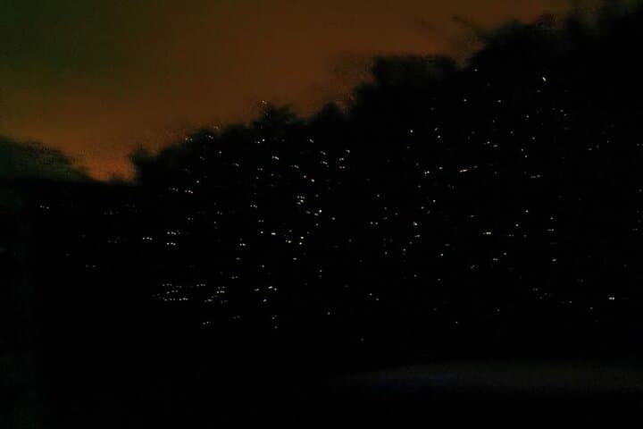 Kuala Selangor Fireflies & Silver-Leaf Monkey Gazing Tour — Night Boat Ride and Bukit Melawati Visit photo 6