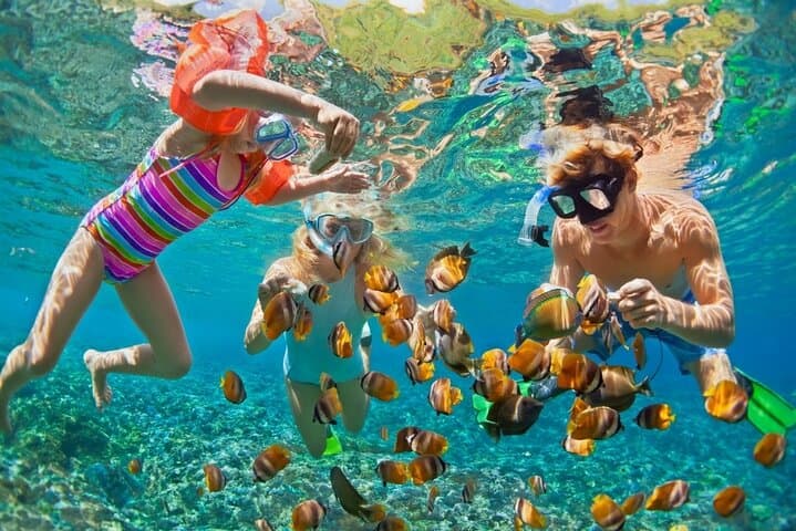 Cham Island Snorkeling Day Trip from Hoi An: Coral Reefs & Hai Tang Pagoda