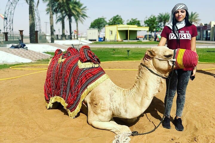 Sunset Red Dunes: Dubai Evening Desert Safari with Camel Ride, Sandboarding & BBQ photo 6