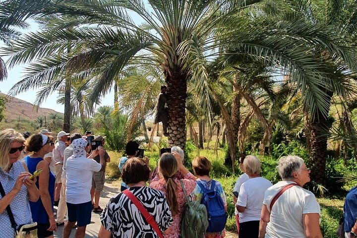 Muscat City Tour: Sultan Qaboos Mosque, Mutrah Corniche & Souk — Private Guided Half-Day photo 3