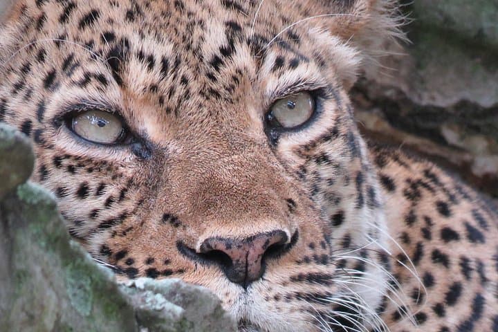 3-Day Queen Elizabeth National Park Safari & Kyambura Chimp Trek photo 1