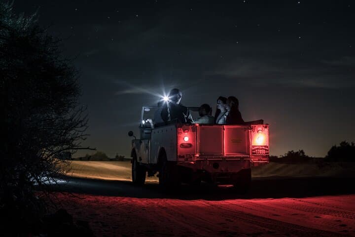 Dubai Private Night Desert Safari & Astronomy — Vintage Land Rover, Bedouin Dinner & Owl Encounter