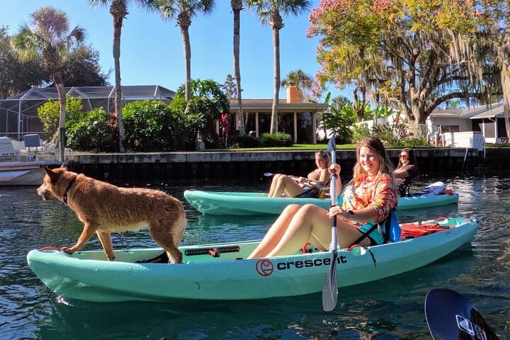 Kings Bay Double Kayak Rental: Manatee-Viewing & Springs Paddle in Crystal River photo 5