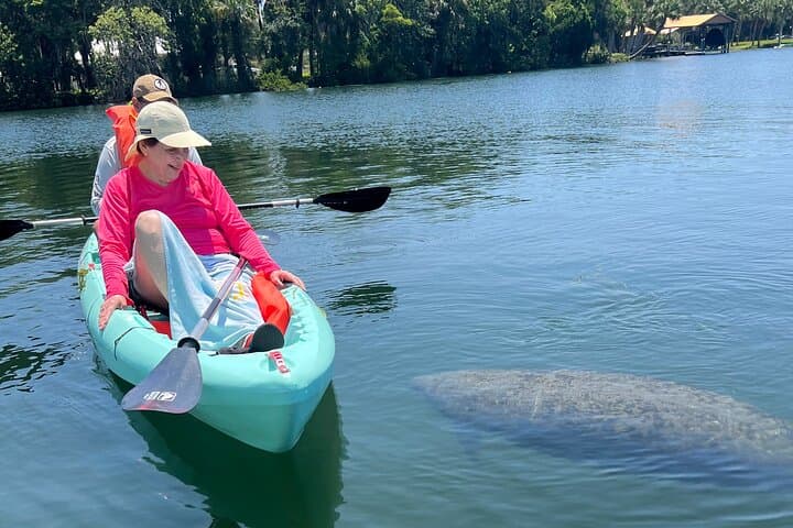 Kings Bay Double Kayak Rental: Manatee-Viewing & Springs Paddle in Crystal River photo 6