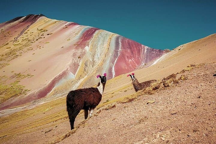 Vinicunca (Rainbow Mountain) Full-Day Trek from Cusco — What to Expect & How to Prepare
