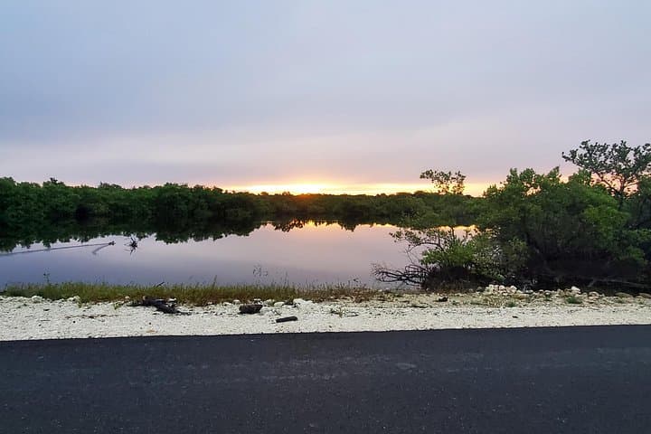 Long Island Bahamas Guided Land Tour — Dean's Blue Hole, Flamingos & Coastal Caves