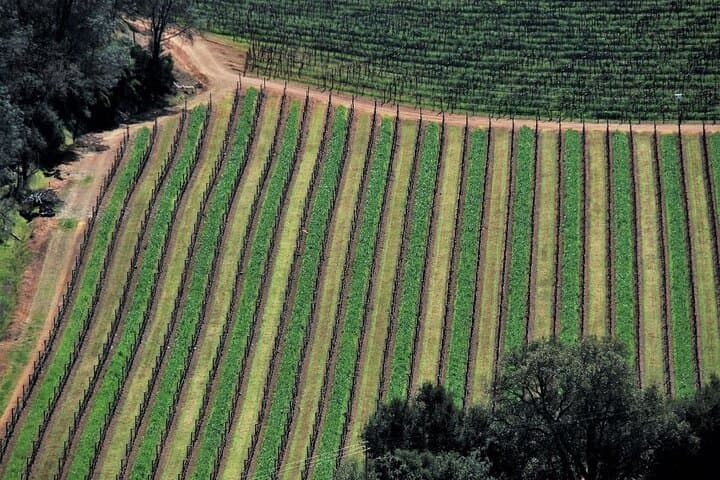 90-minute-napa-valley-scenic-flight-cessna-piper-from-hayward photo 2