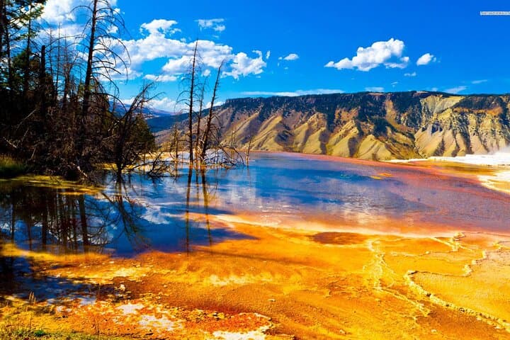 Private Upper Loop Tour of Yellowstone National Park — Lamar Valley Wildlife & Geology Day Tour photo 2