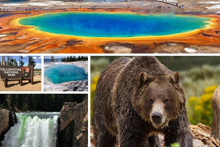 Private Upper Loop Tour of Yellowstone National Park — Lamar Valley Wildlife & Geology Day Tour photo 5