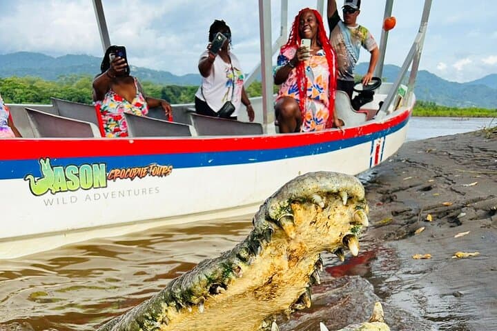 Jason Crocodile Tours: Guided Crocodile-Watching on Costa Rica’s Tárcoles River photo 4
