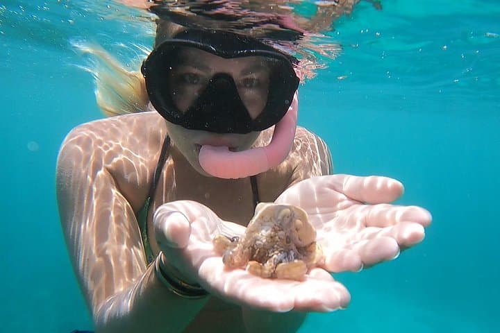 Electric Beach Marine Ecology Snorkel: Guided Reef Tour with Photos photo 1