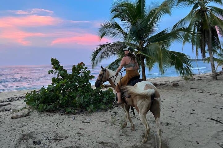 Punta Uva Beach Horseback Ride — 2-Hour Puerto Viejo Caribbean Escape