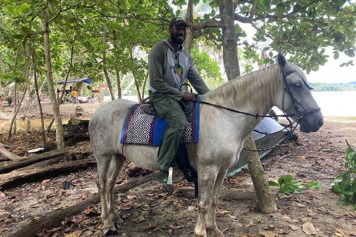 Punta Uva Beach Horseback Ride — 2-Hour Puerto Viejo Caribbean Escape photo 2