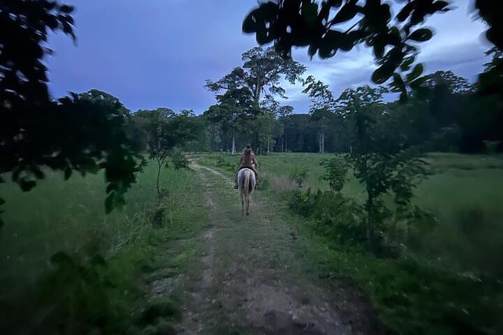 Punta Uva Beach Horseback Ride — 2-Hour Puerto Viejo Caribbean Escape photo 3
