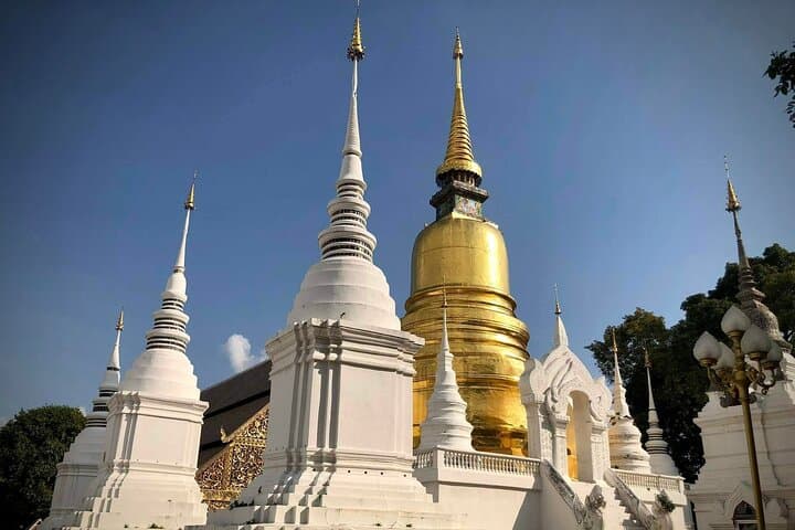 Half-Day Chiang Mai Temple Tour: Doi Suthep, Wat Umong & Suan Dok photo 4