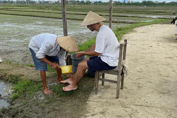Buffalo Ride and Rice-Farming Experience in Hoi An: Hands-On Farm Visit photo 4