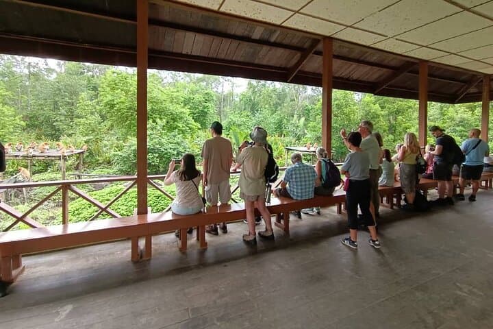 Sepilok Orangutan Rehabilitation and Sandakan City Day Tour from Kota Kinabalu photo 2