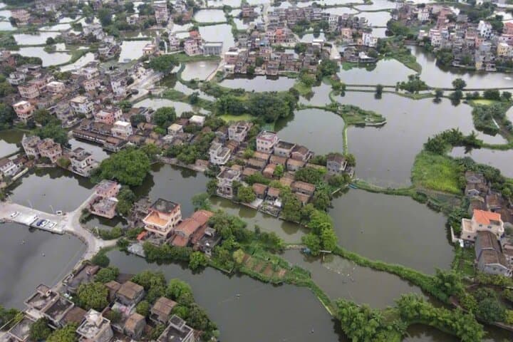 Gulao Water Village & Jiujiang Rice Wine: Day Trip from Guangzhou photo 4