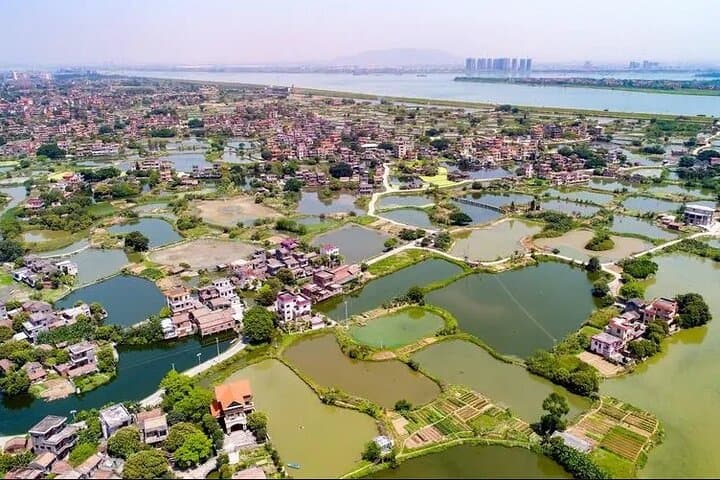 Gulao Water Village & Jiujiang Rice Wine: Day Trip from Guangzhou photo 2
