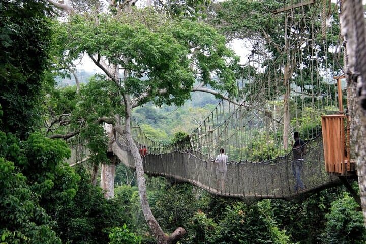 Kakum Canopy and Cape Coast Castle: Private Day Tour from Accra photo 6
