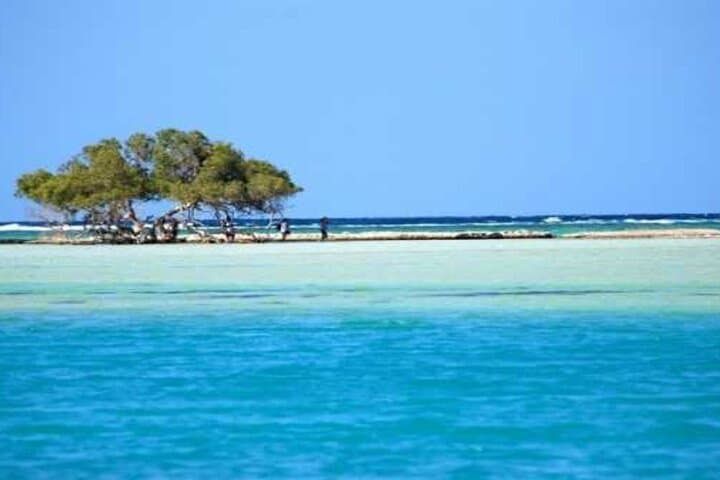Hamata Island Snorkeling Day Trip from Marsa Alam — Reefs, Lunch & Island Hopping photo 4