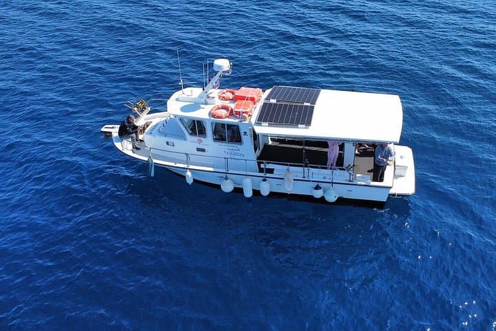 Half-Day Fishing Trip from Varkiza Marina — Athens Saronic Sea Experience photo 4