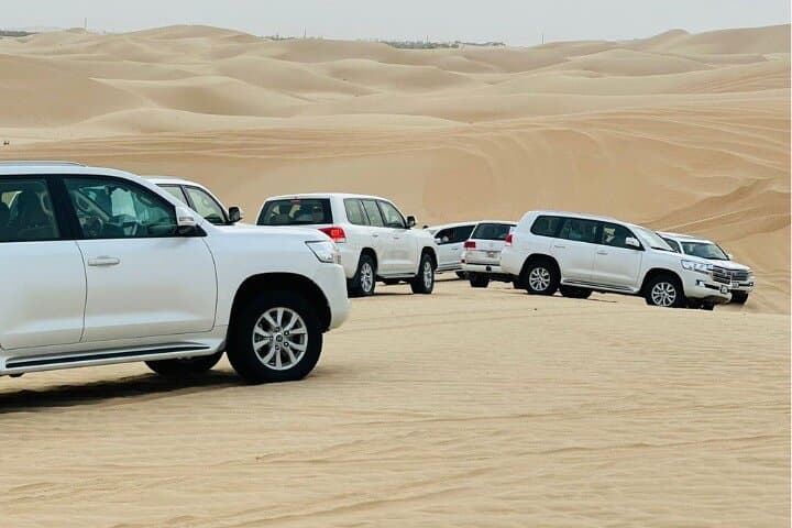 Dubai Red Dune Desert Safari: 4x4 Dune Bashing, Camel Rides & Live Shows photo 4