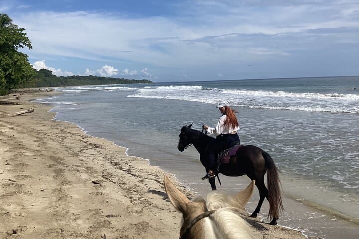 Punta Uva Beach Horseback Ride — 2-Hour Puerto Viejo Caribbean Escape photo 4