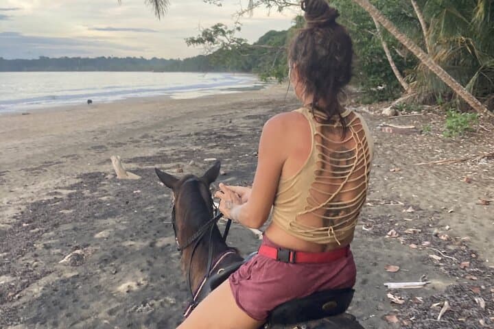Punta Uva Beach Horseback Ride — 2-Hour Puerto Viejo Caribbean Escape photo 6