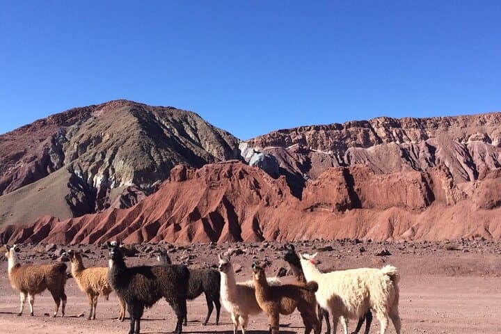 Rainbow Valley & Petroglyphs: Private Geological and Cultural Tour from San Pedro de Atacama photo 2