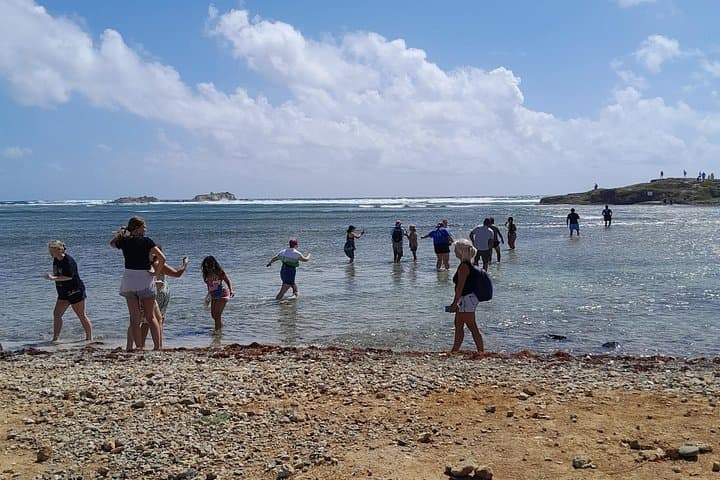 Private Island Tour in St. Maarten — Beaches, Plane-Spotting & Local Flavors photo 1