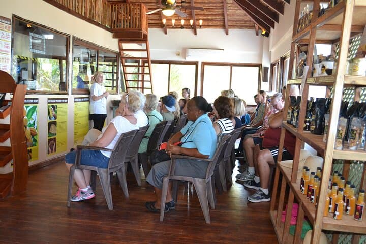 Roatán Rum, Chocolate & West End Beach: Half-Day Tasting and Shore Excursion photo 6