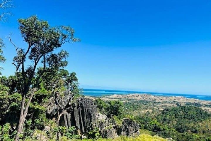 Treetops Fiji Zipline Tour — 16 Lines, Cave Walk & Airport Drop-off photo 3