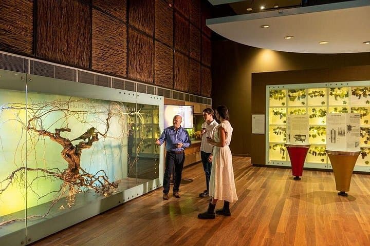 Discover Australia’s Wine Story at the National Wine Centre — Guided Tasting Tour