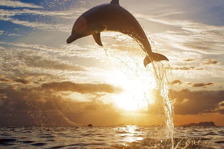Two-Day Private Bali Tour: Dolphins, Waterfalls, Temples & Rice Terraces photo 2