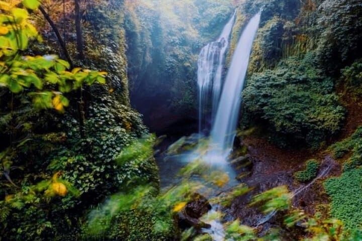 Two-Day Private Bali Tour: Dolphins, Waterfalls, Temples & Rice Terraces photo 6