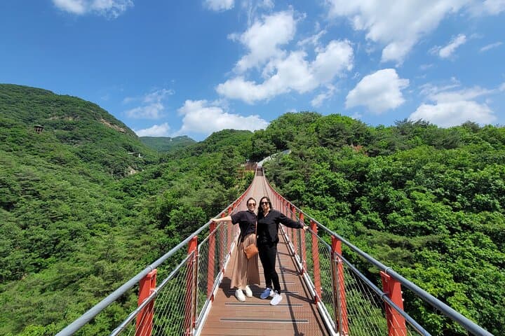 Private DMZ Tour from Seoul: 3rd Tunnel, Dora Observatory & Dorasan Station photo 2