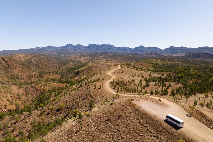 6-Day Eyre Peninsula & Flinders Ranges Adventure — Surf, Wild Koalas & Wilpena Pound